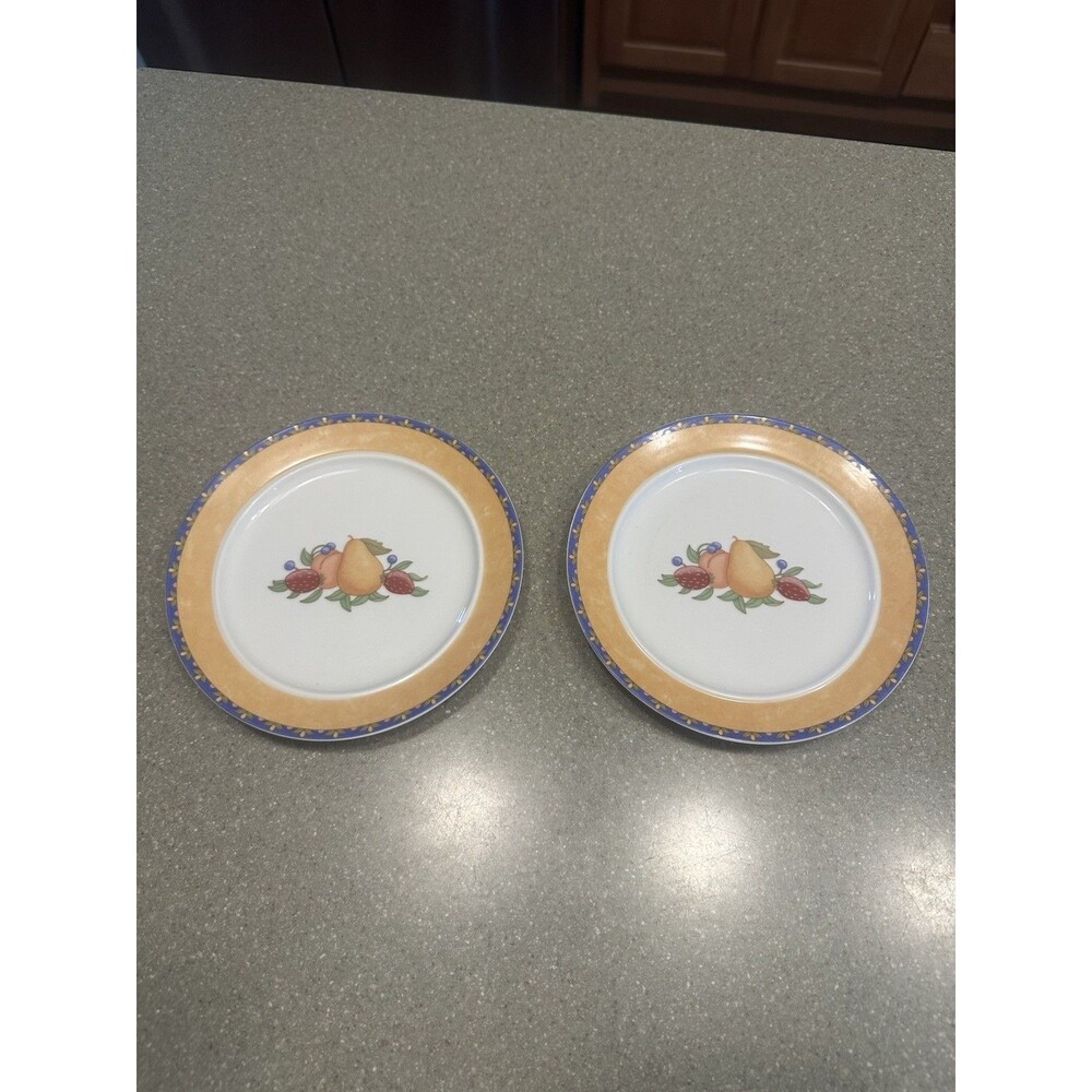 Dansk Fiance Fruits Plates 9" Porcelain Salad Appetizer w/Fruit Center Set of 2
